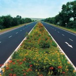 5 expressways, 22 access-controlled highways have been taken up by NHAI as greenfield corridors: Gadkari