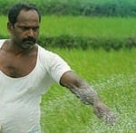 Govt asserts sufficient stock of fertilizers, crop seeds available for Kharif