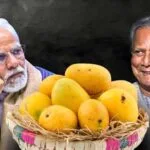 Mangoes to Modi: Yunus’ sweet diplomacy amid strained India-Bangladesh ties