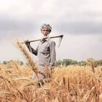 India Rabi crop sowing crosses 634 lakh hectares, boosted by better monsoon
