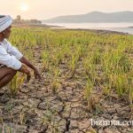 Farm Distress and Food Inflation: Two Sides of a Monsoon Crisis